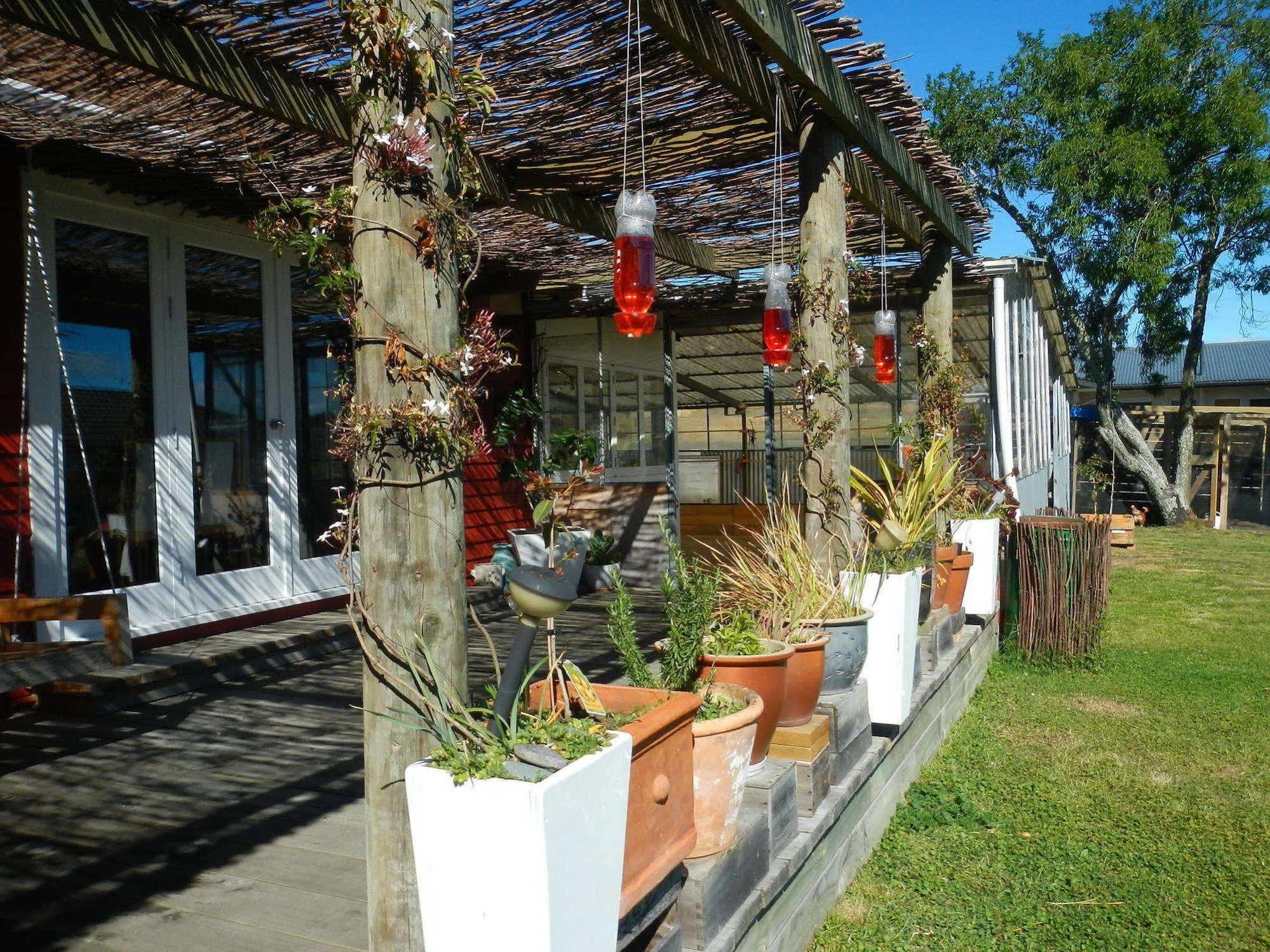 The Beach House - Nelson Ngoại thất bức ảnh